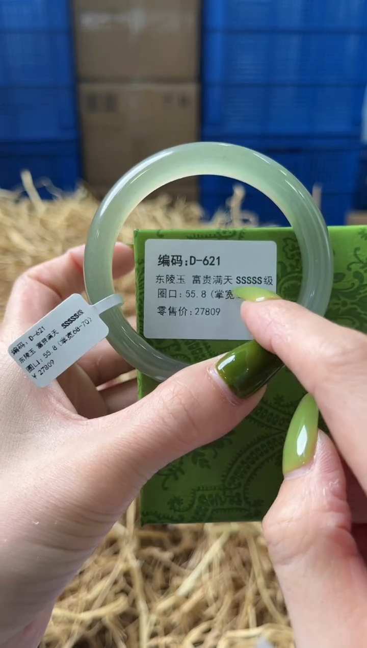 未镶嵌手镯石英质玉D621