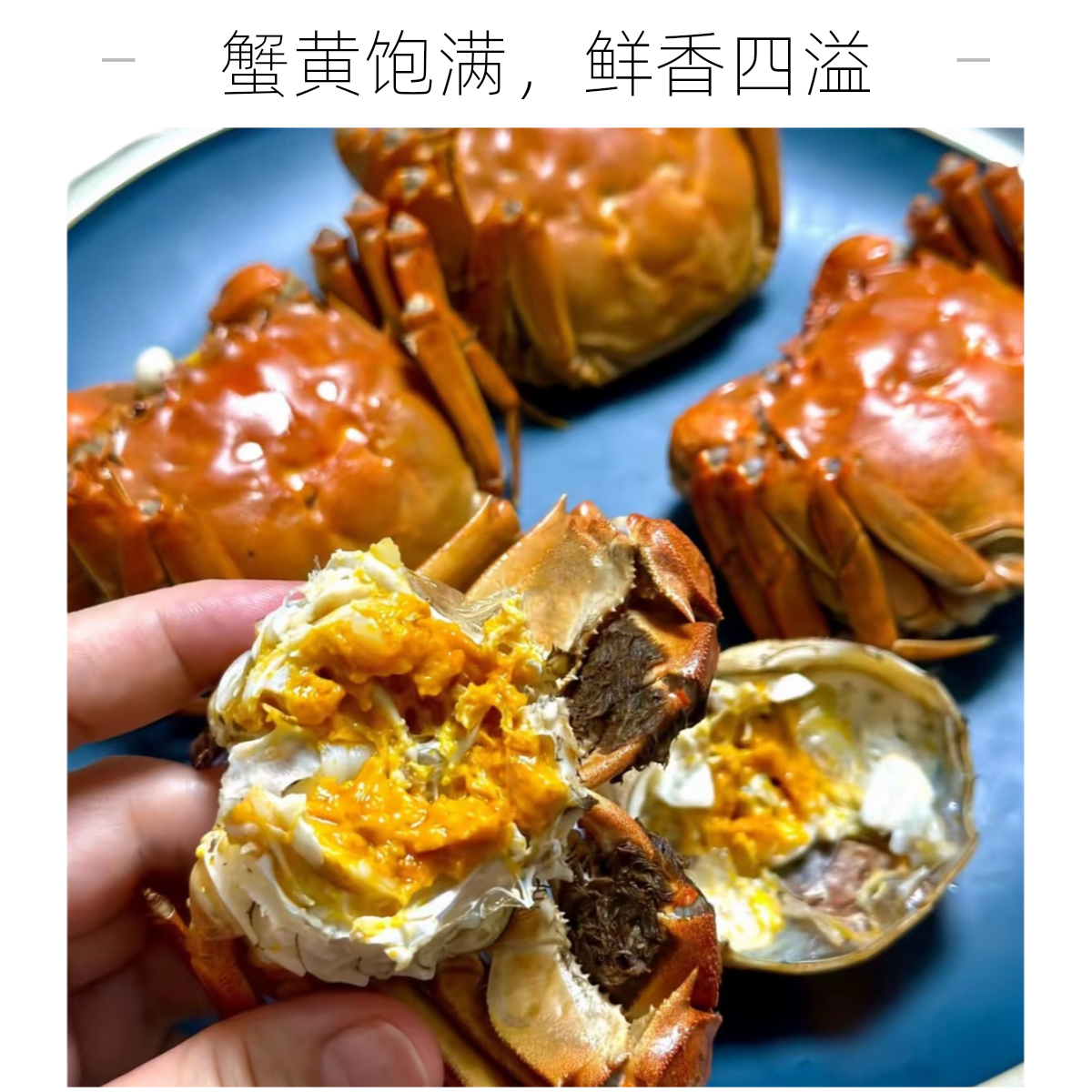d【盘锦河蟹】京东次日达送上门河蟹母蟹1-1.5两 /只 公蟹0.8-1.1两/只 3斤/5斤装 死蟹包赔