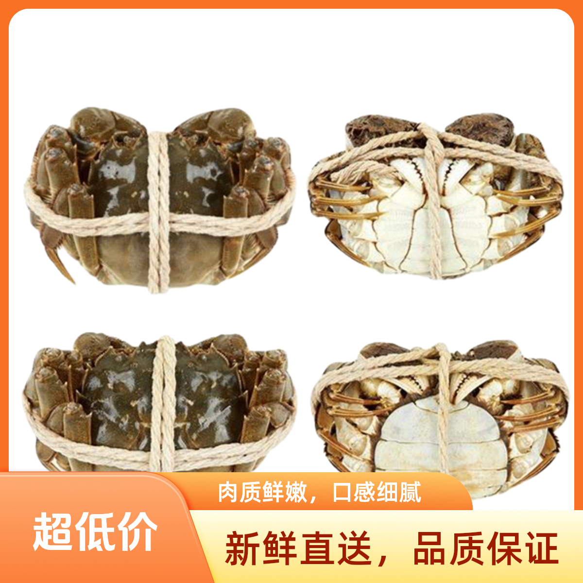 [活蟹]公母搭配4斤/公3斤母1斤/8-12只/掉爪