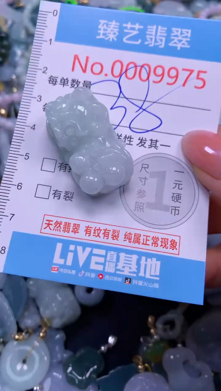 颈饰未镶嵌翡翠9975