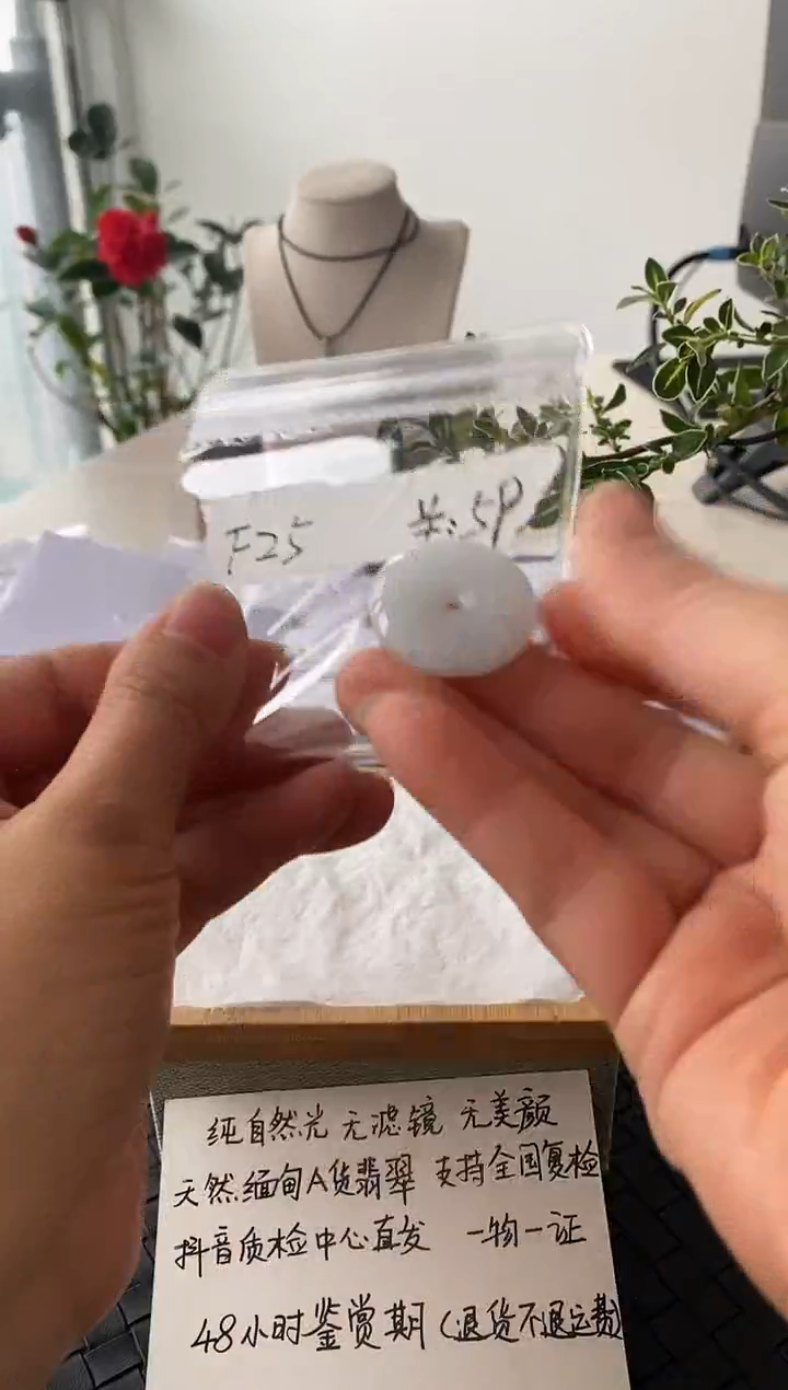 吊坠(不含链)未镶嵌翡翠F25