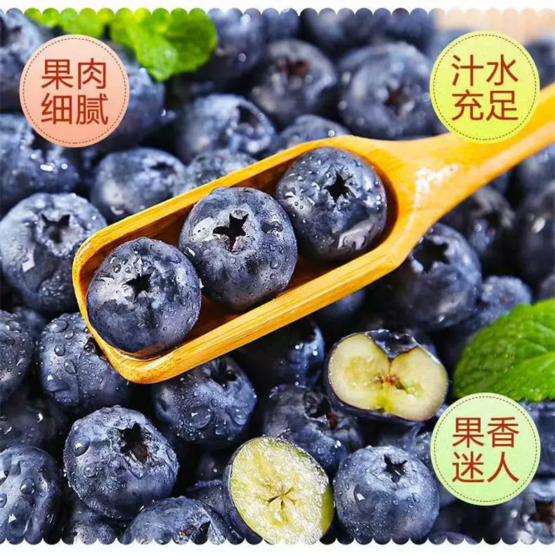 【特大果】露天新鲜蓝莓18mm-21mm现摘现发放心吃