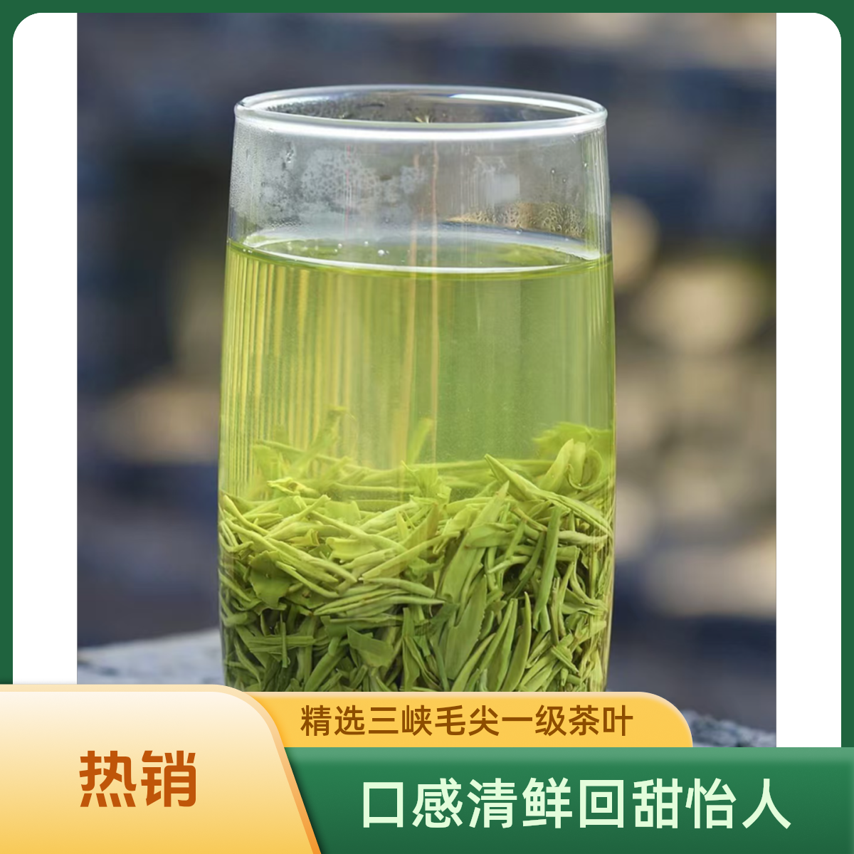 春香苑茶叶2025年春茶绿茶三峡五峰芽毛尖散装礼盒回甘新茶悠长