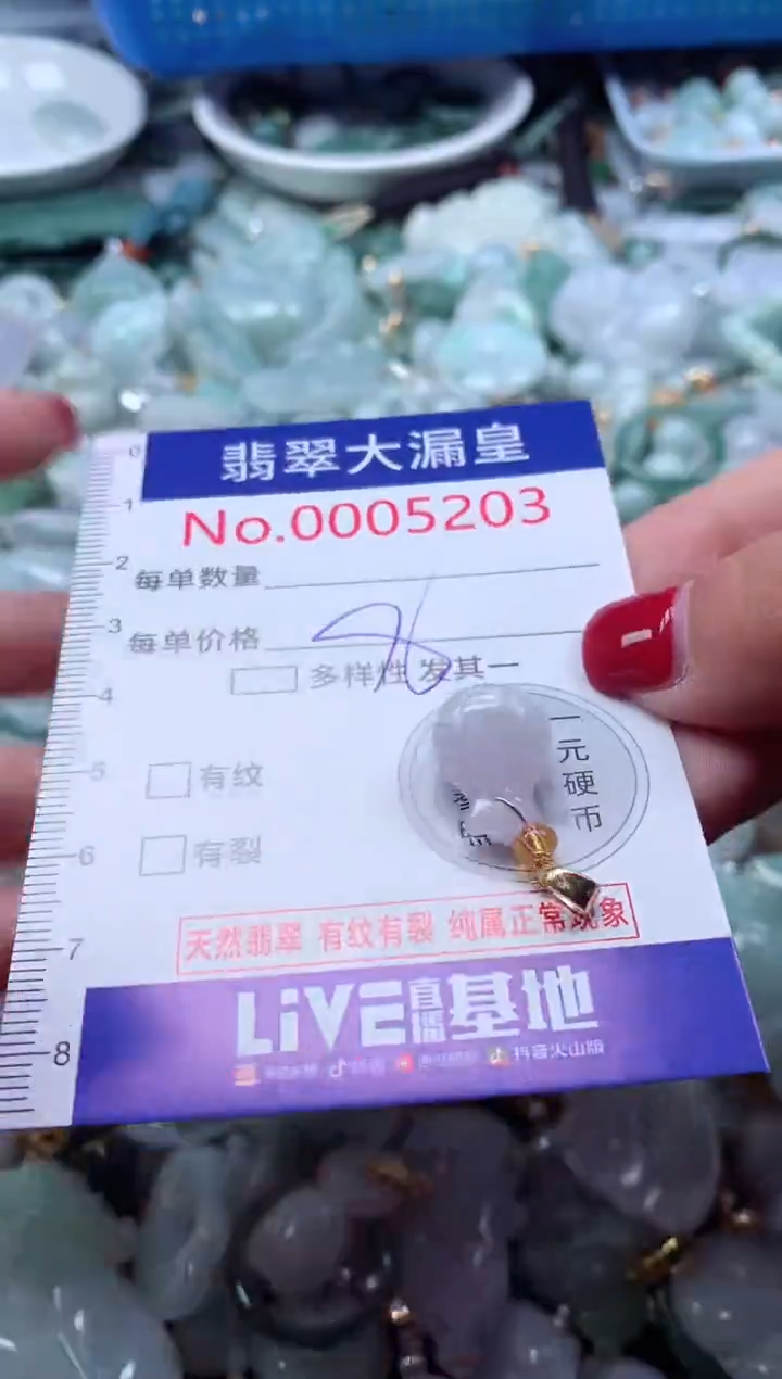 颈饰未镶嵌翡翠5203