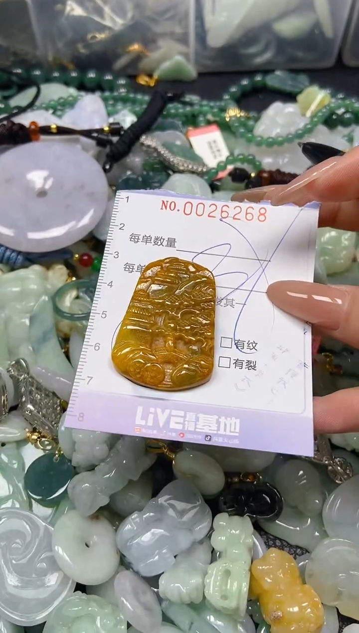 【闪购商品】翡翠颈饰未镶嵌闪购0026268