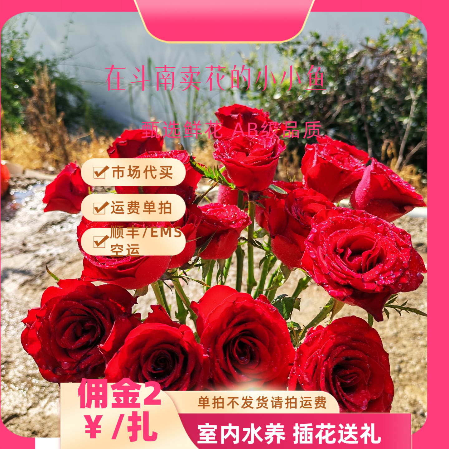 小小鱼严选AB级高原红单头玫瑰（市场代买 运费单拍）