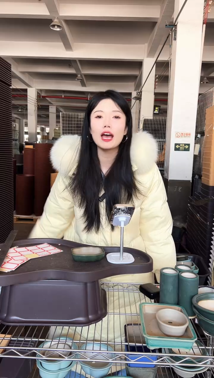 【闪购商品】陶瓷组合14异性花盆两只装