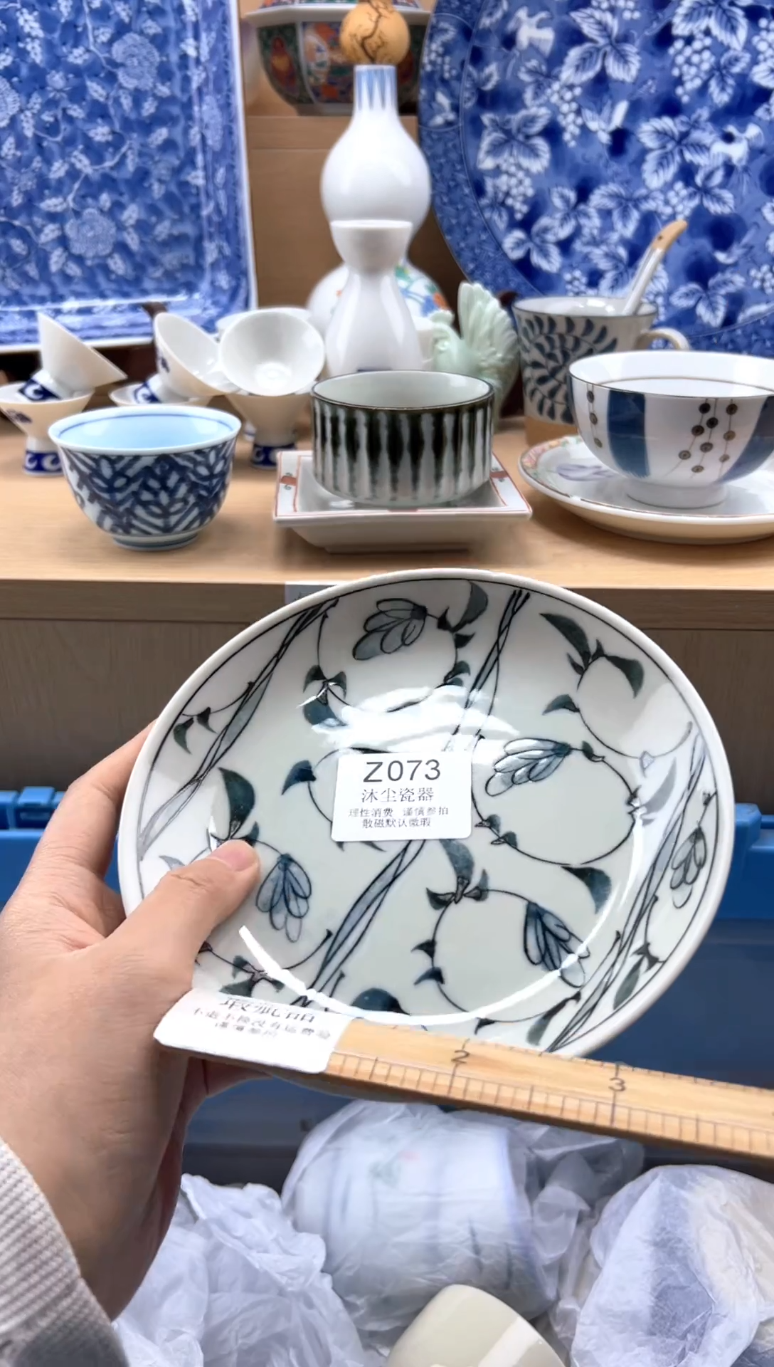 瓷片          Z073