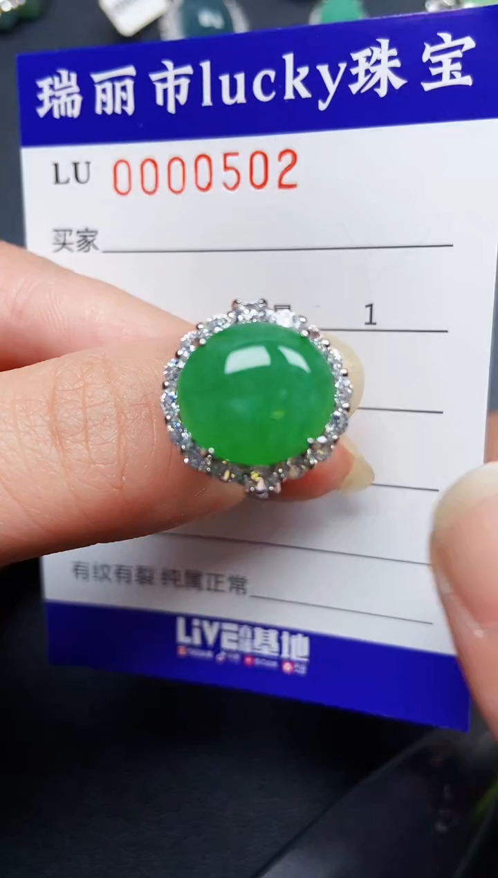 翡翠银S925镶嵌颈饰0502