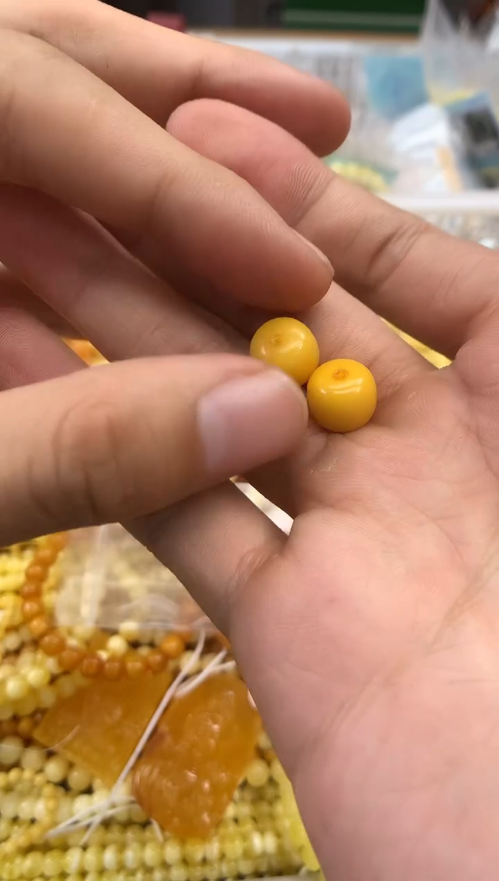 裸石蜜蜡未镶嵌单珠一对