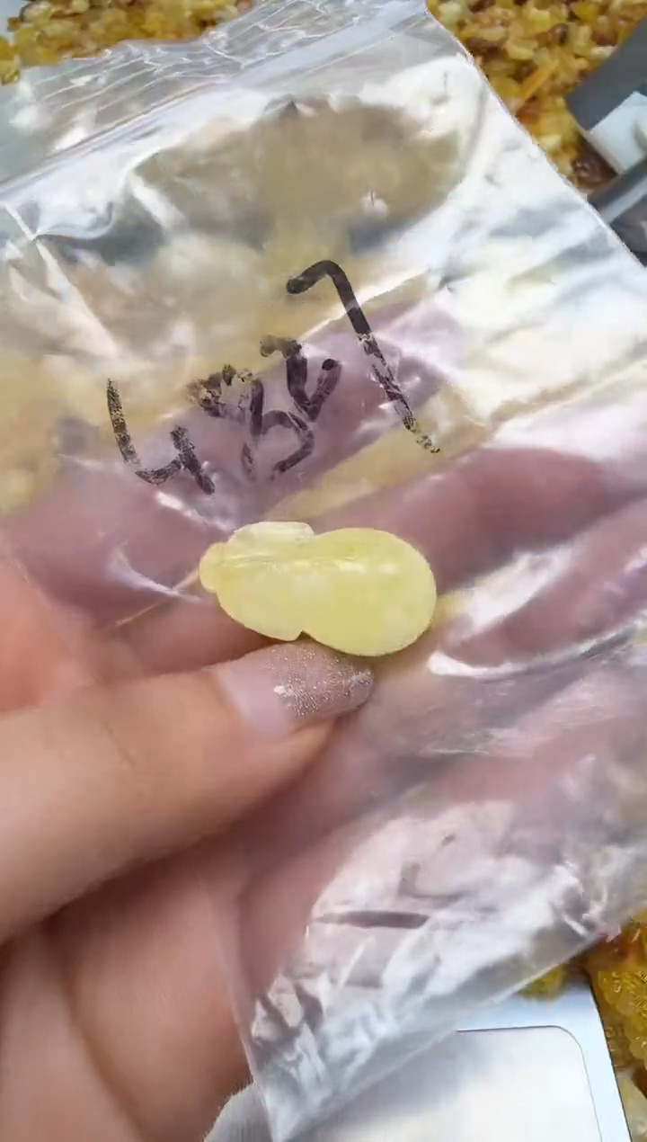 裸石琥珀未镶嵌如图