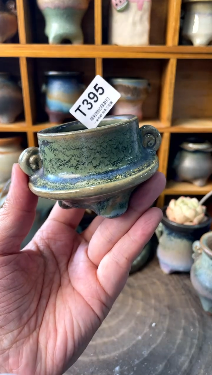 395 内口5【多肉花盆多肉盆】