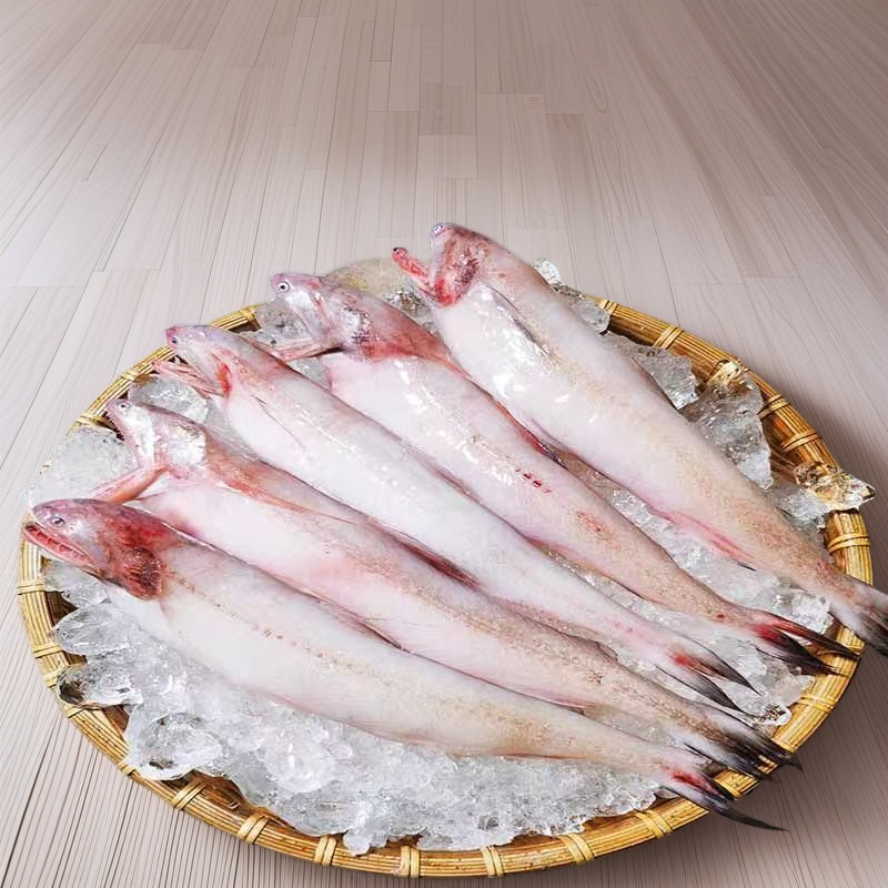 《台州三姐》东海野生现捕豆腐龙头鱼海鲜
