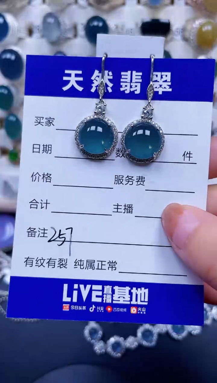 银S925镶嵌翡翠耳饰257