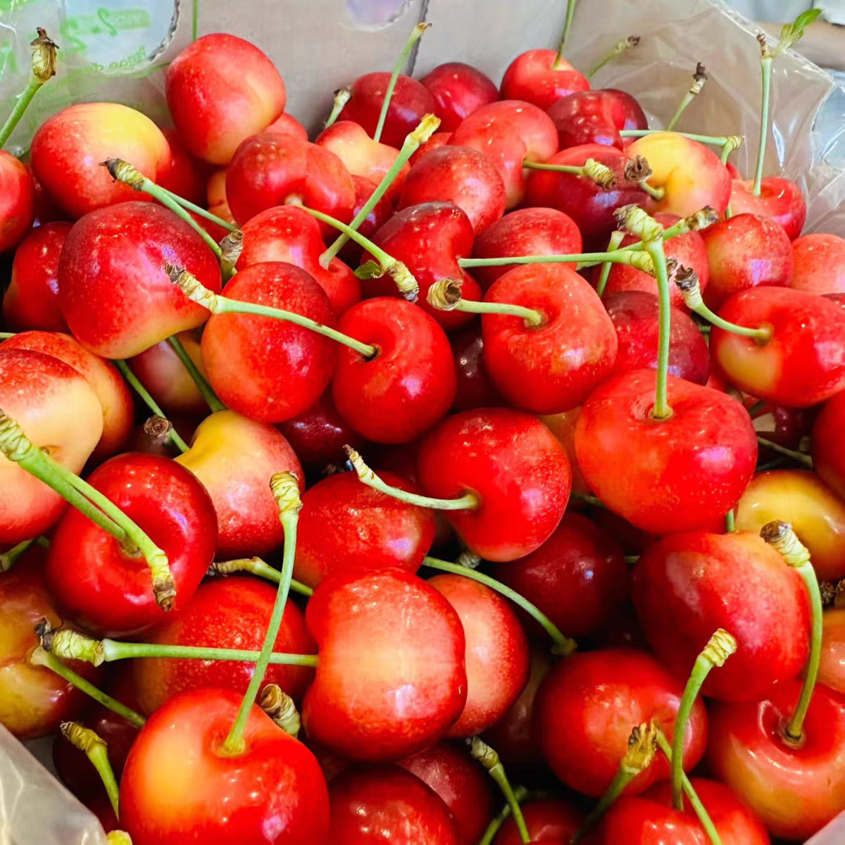 智利空运斯凯拉雷金车厘子3J，4斤/箱，智利空运，内附果径卡斯凯拉雷智利