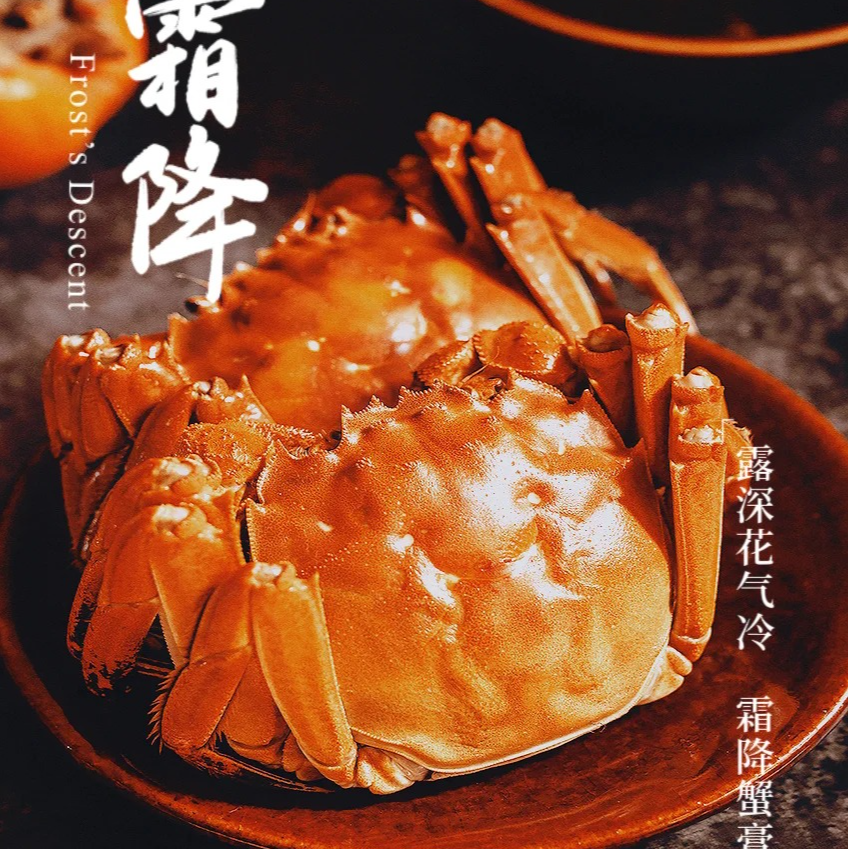 活蟹 其他大闸蟹 母蟹 2两/只 （10只）