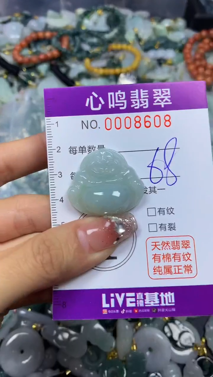 【闪购商品】翡翠颈饰未镶嵌闪购008608