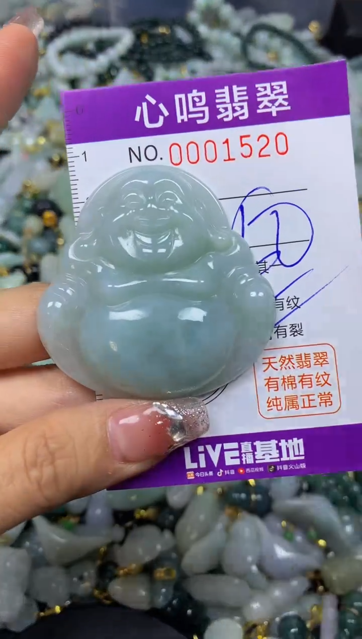 【闪购商品】翡翠颈饰未镶嵌闪购001520
