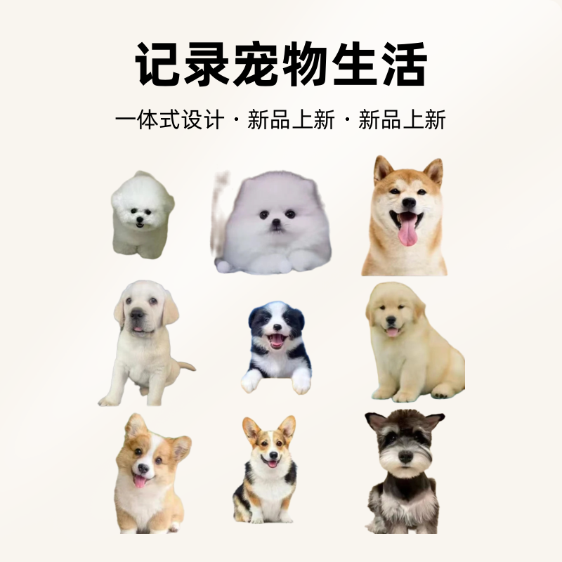 宠物定制相册记录美好生活