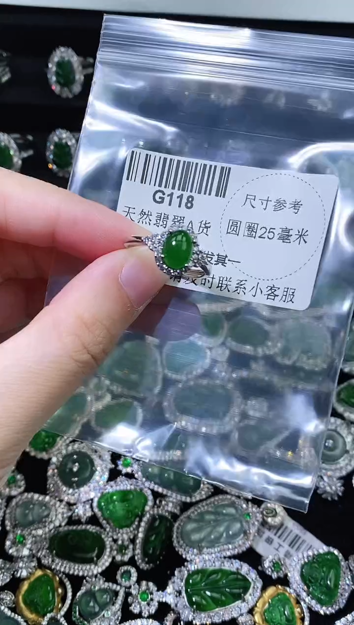 翡翠未镶嵌颈饰精美翡翠-多样性只发一件G118