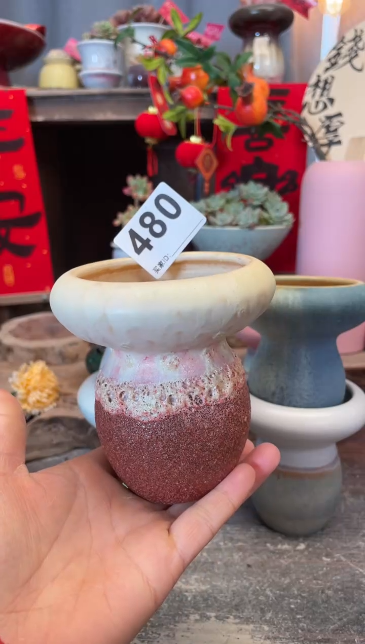 【闪购商品】摆件480知木小芳花盆
