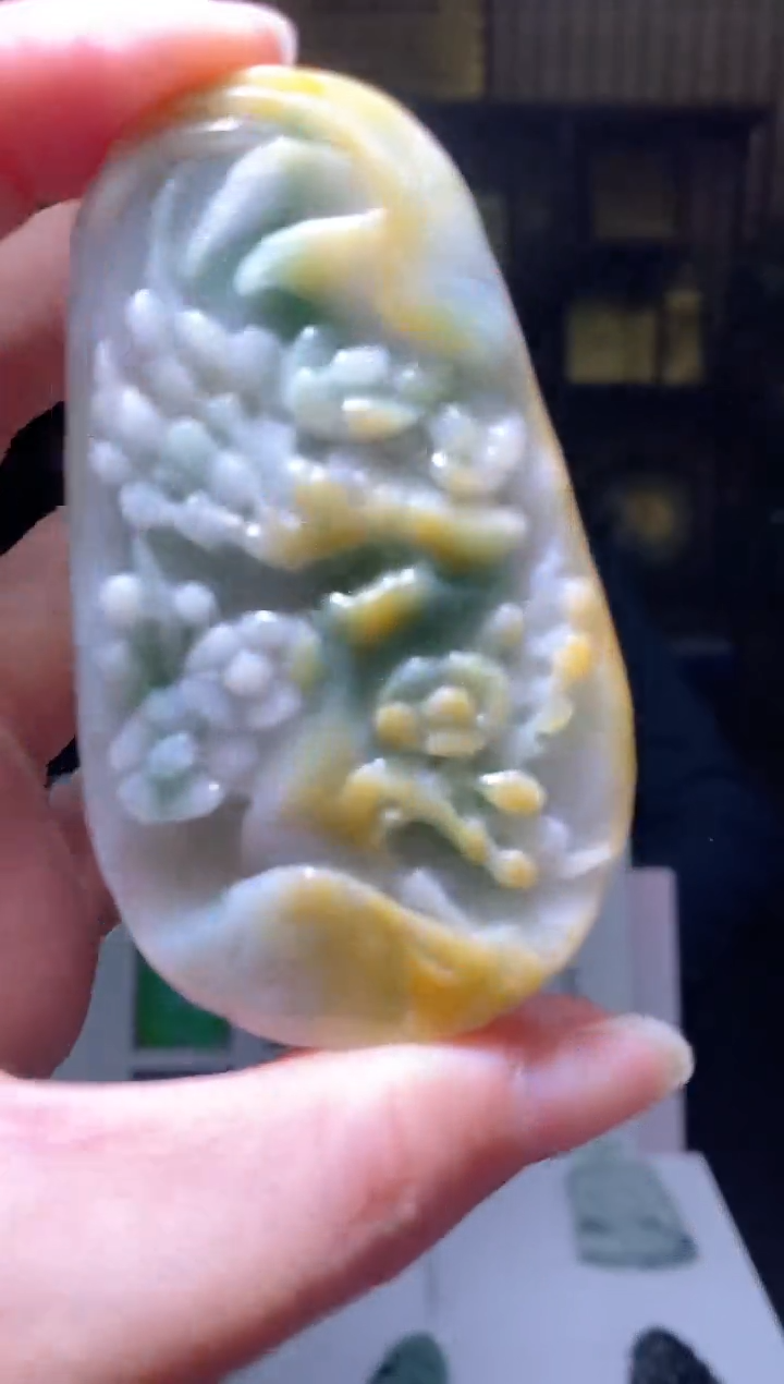 【闪购商品】翡翠颈饰未镶嵌B-@@XWGC022412