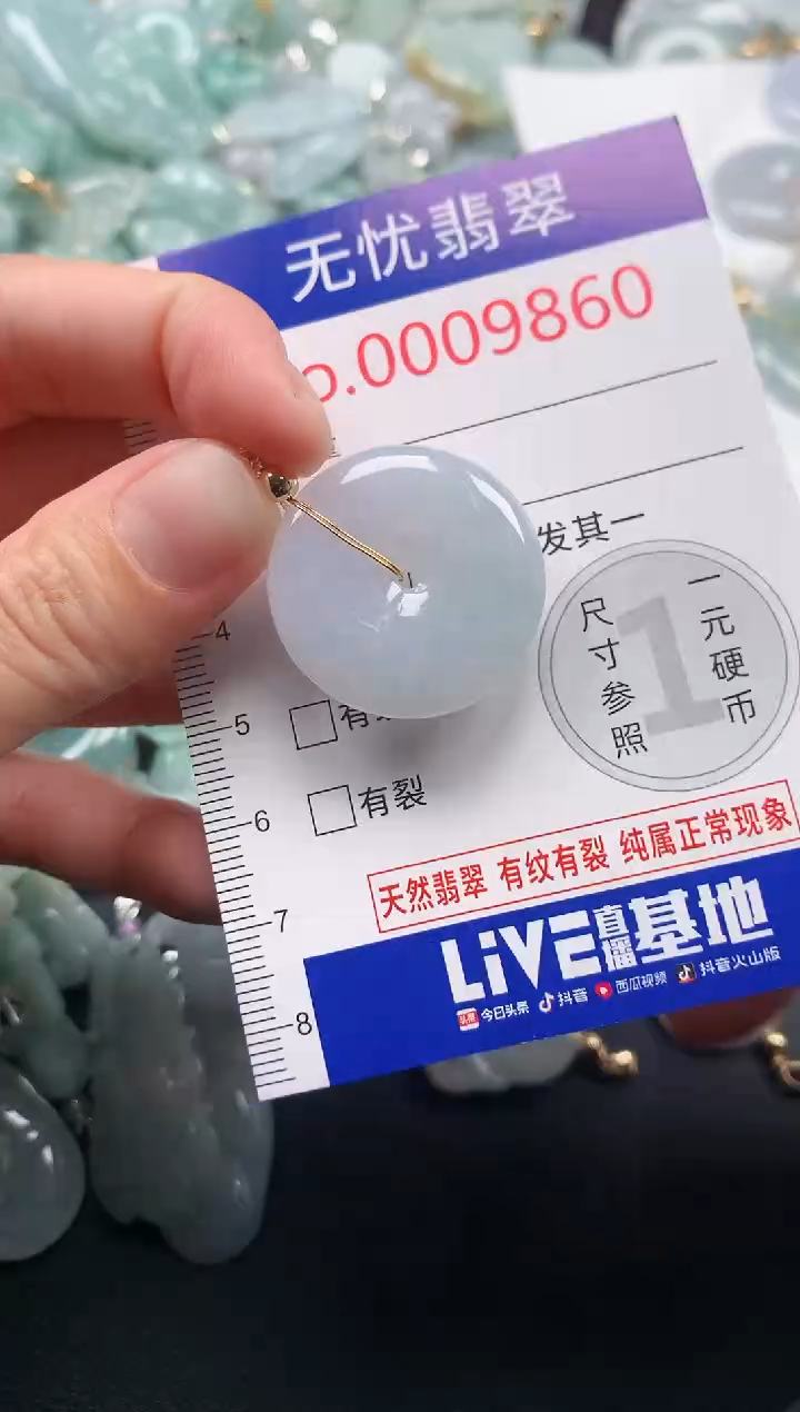 颈饰未镶嵌翡翠9860