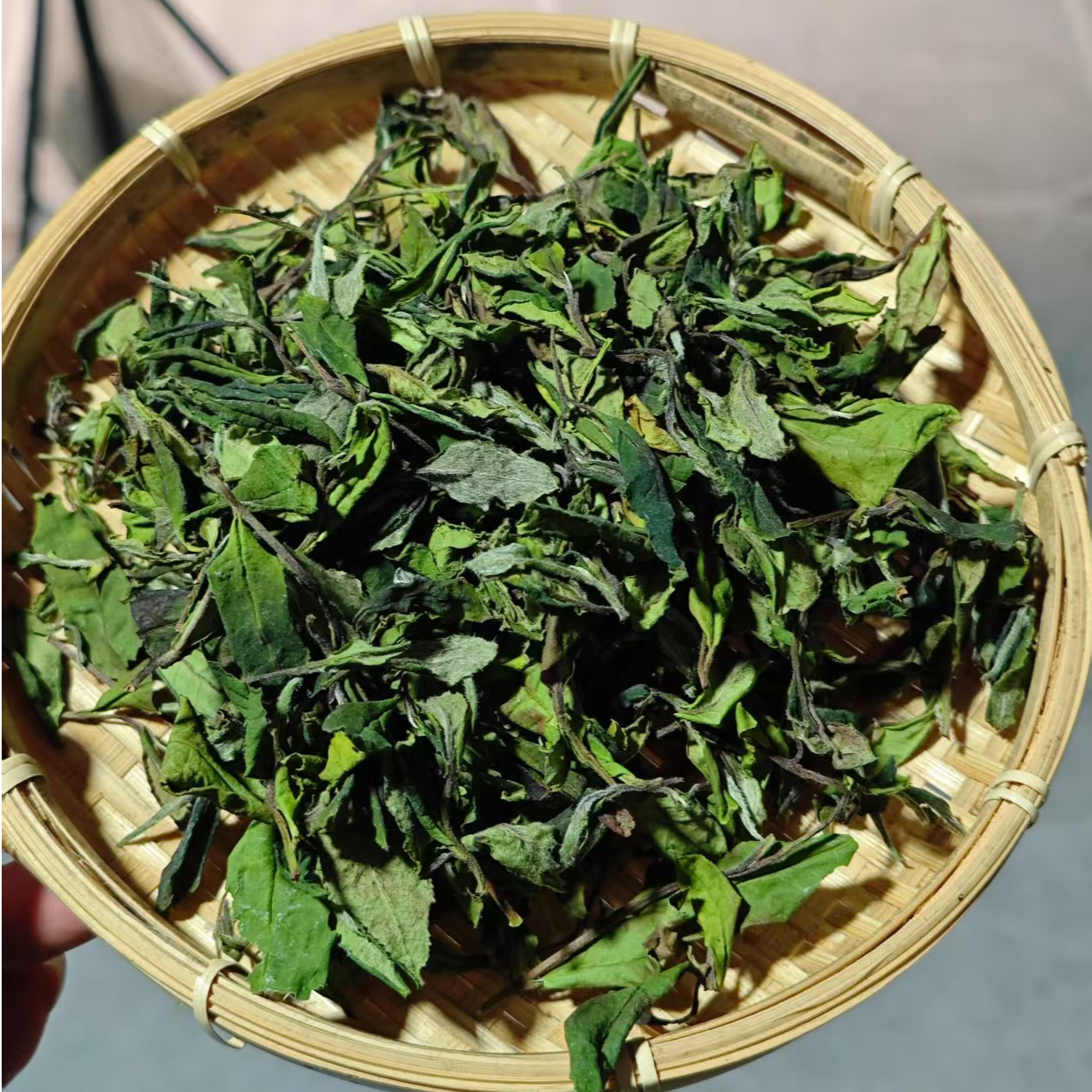 【白茶散茶】25年头春高龄古树.只有香甜.普洱茶（贡眉）