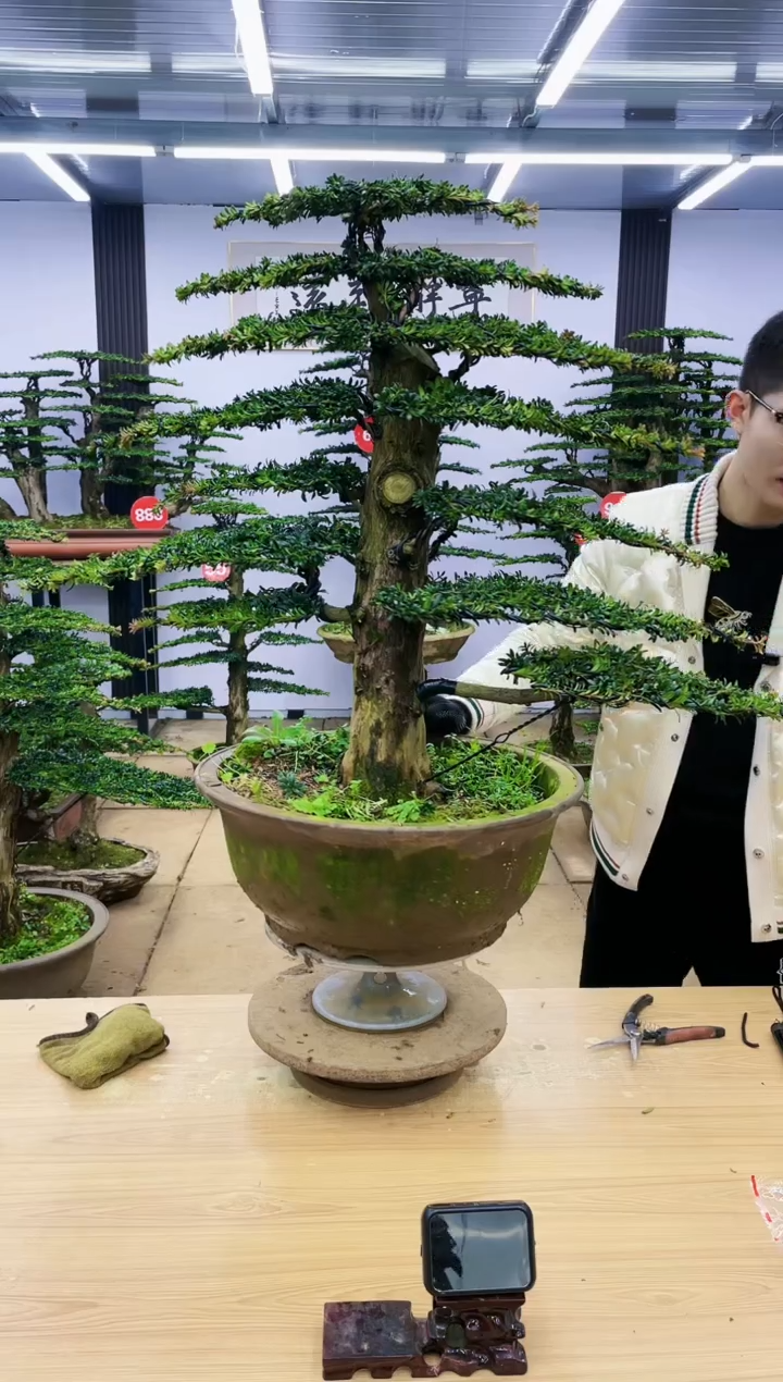 【闪购商品】0000000000