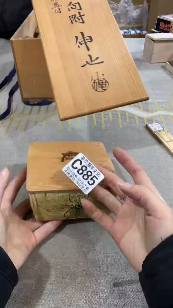 【闪购商品】碟聚优阁闪购商品C885