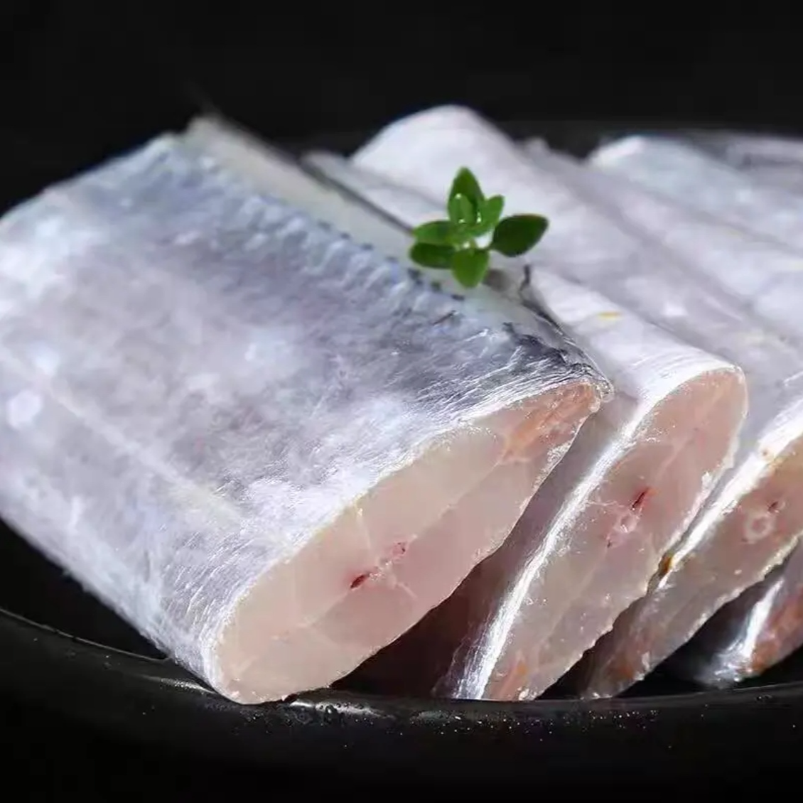 大连渤海湾刀鱼段