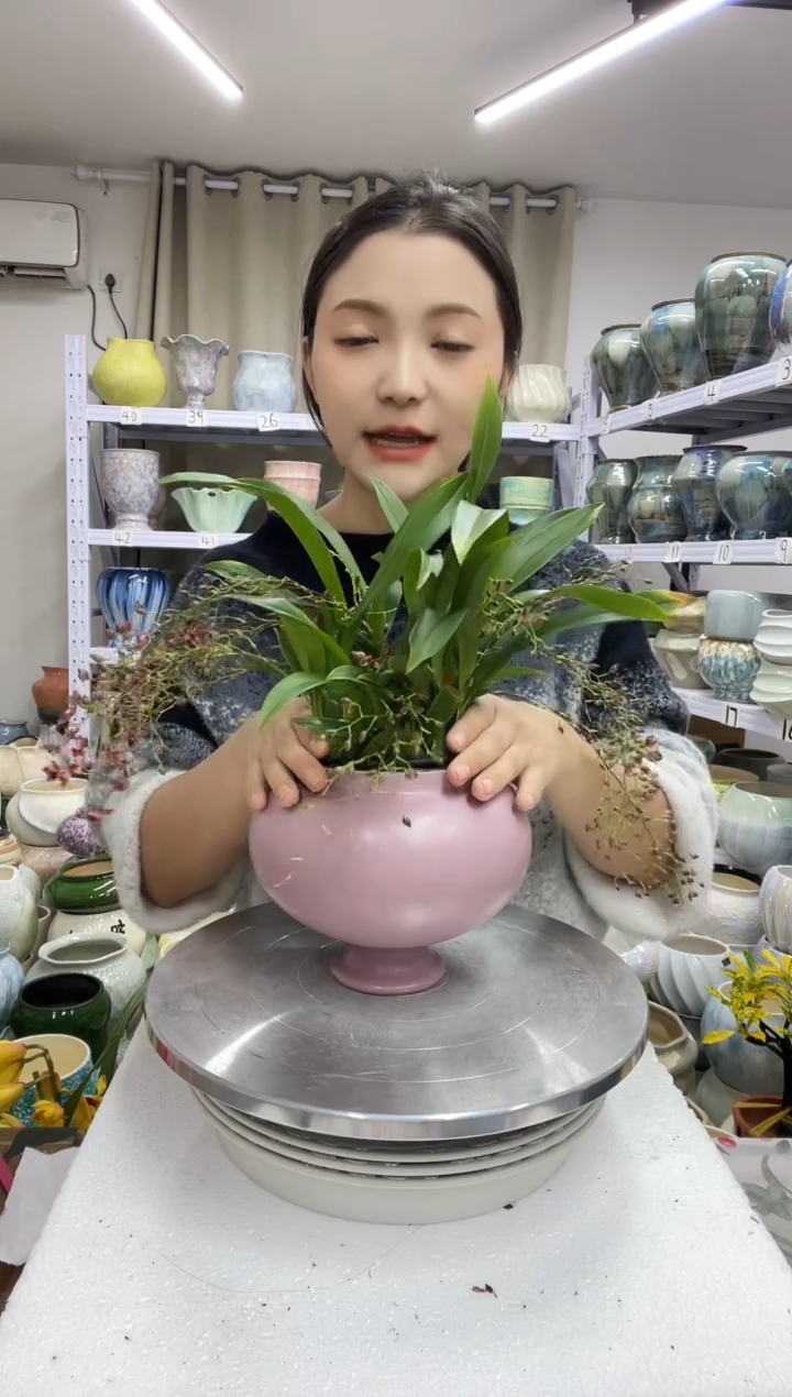 【12.27】花盆链接 高：14  口：11