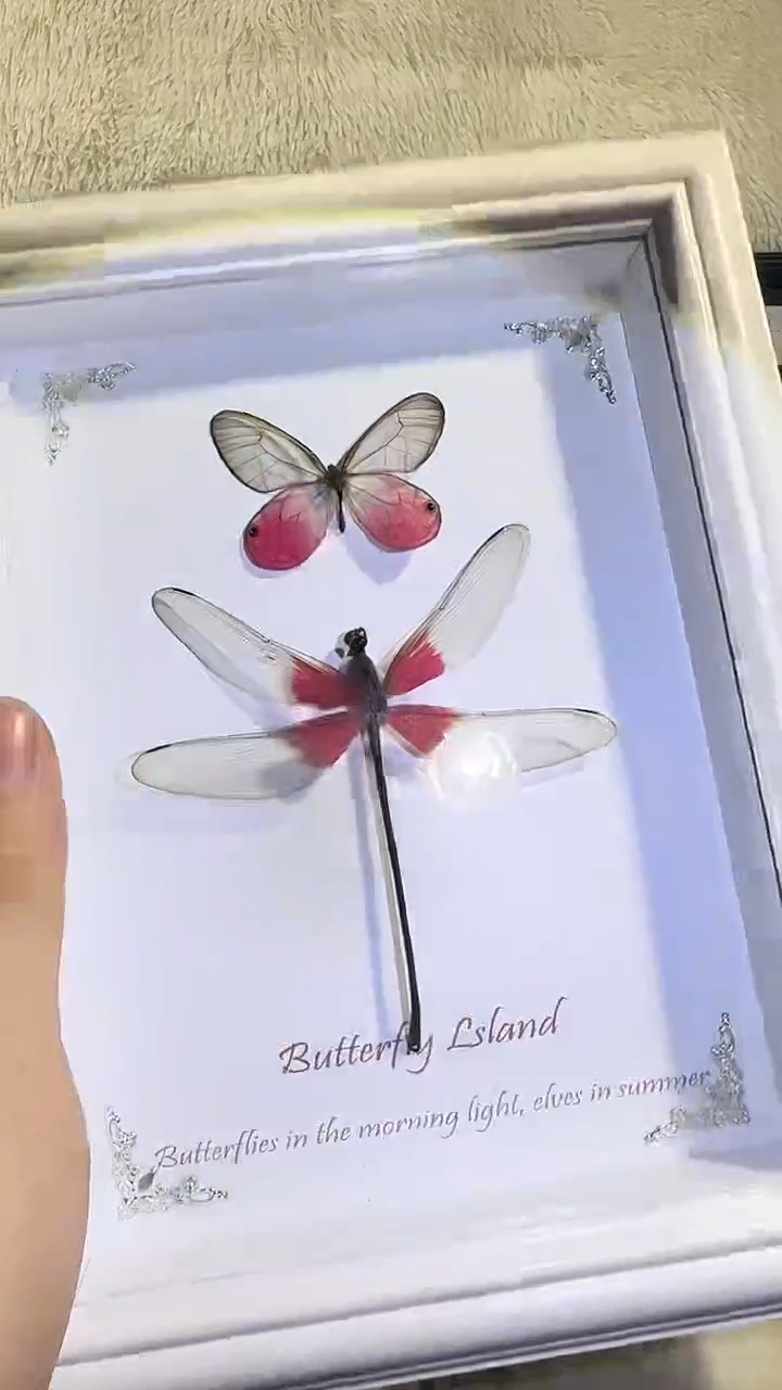 有机玻璃粉翼双生