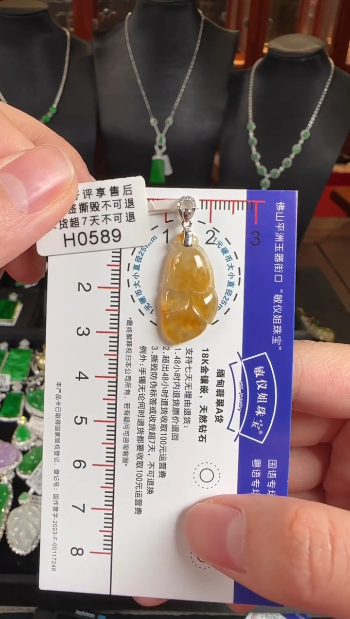 颈饰未镶嵌翡翠H0589鱼鱼得水