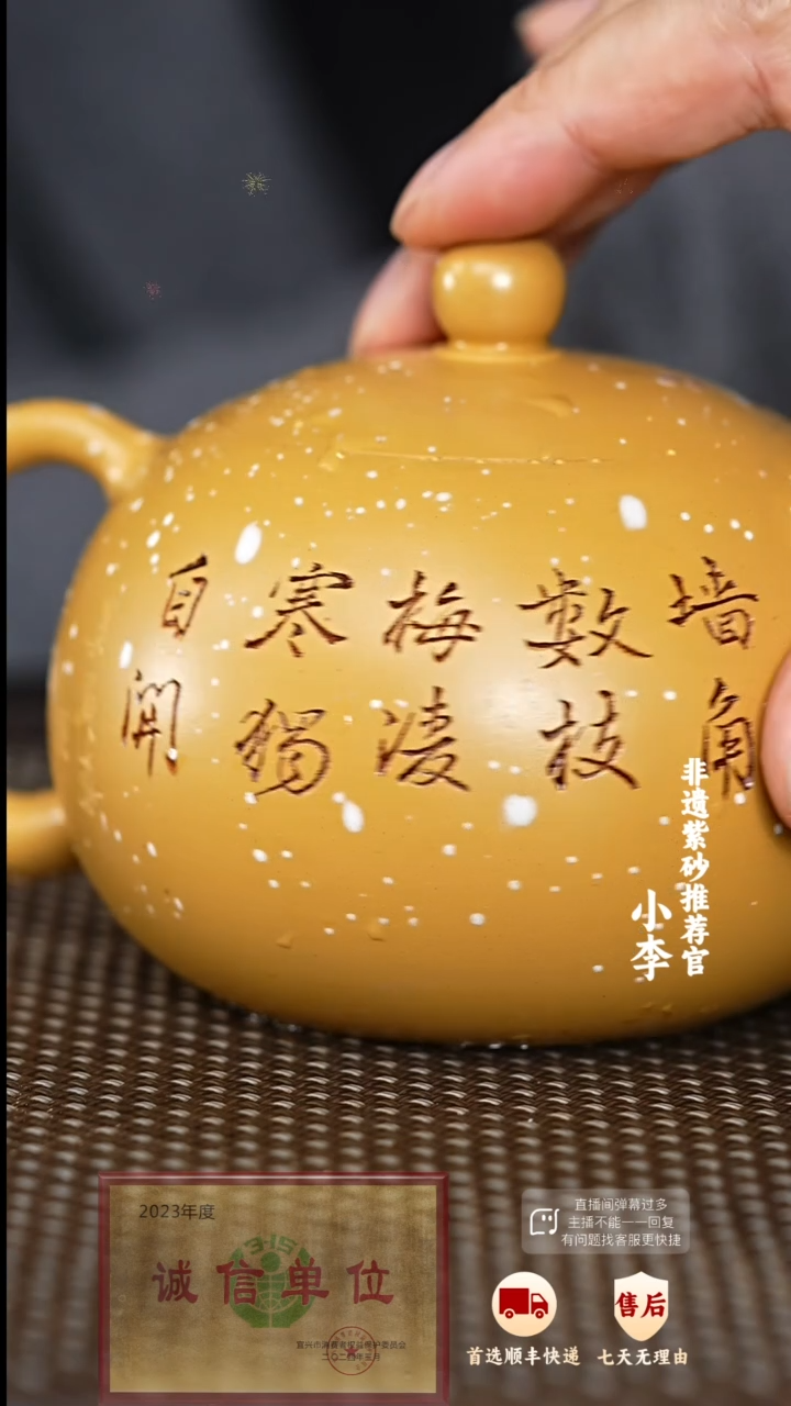 【闪购商品】紫砂茶壶77 紫砂茶壶