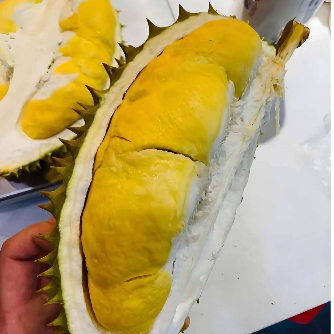  榴莲小时达 越南金尧鲜榴莲核大  2kg~3kg干尧越南