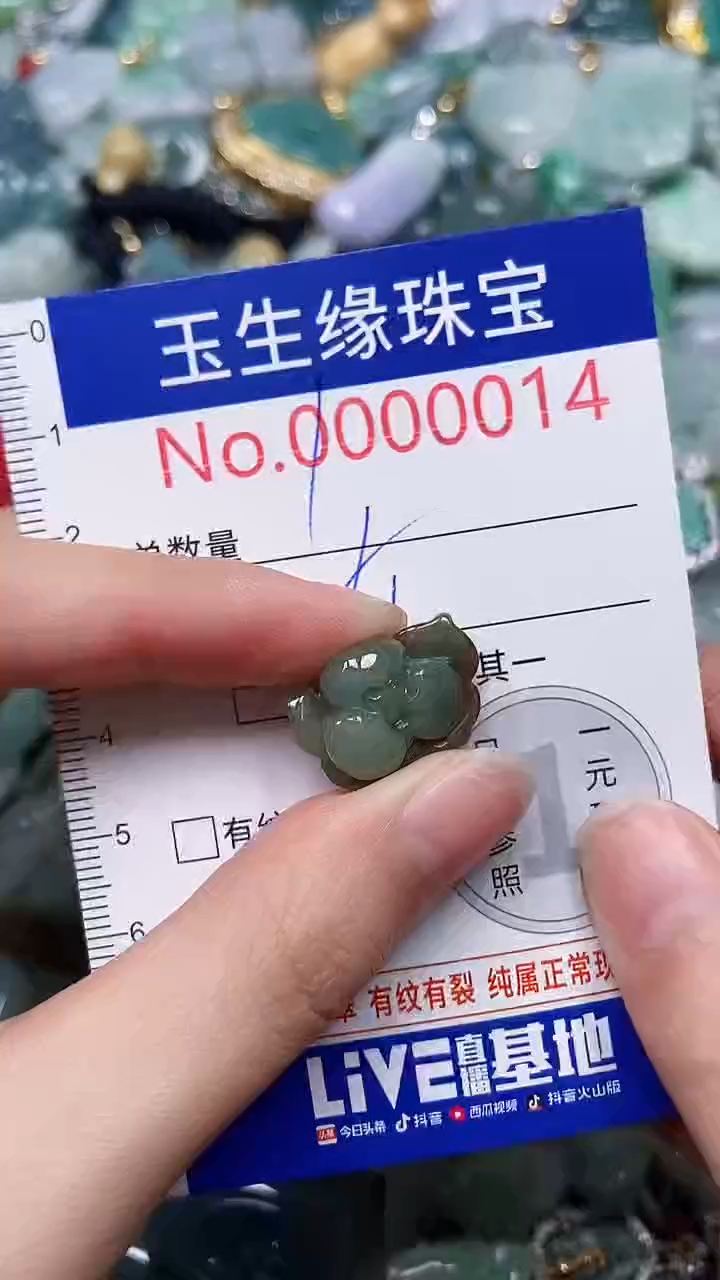 【闪购商品】翡翠颈饰未镶嵌闪购00000014