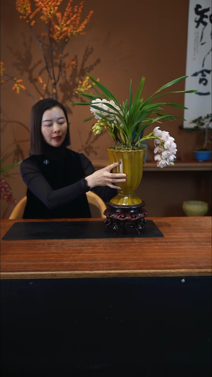 全部花朵小仙女盆景盆景盆景