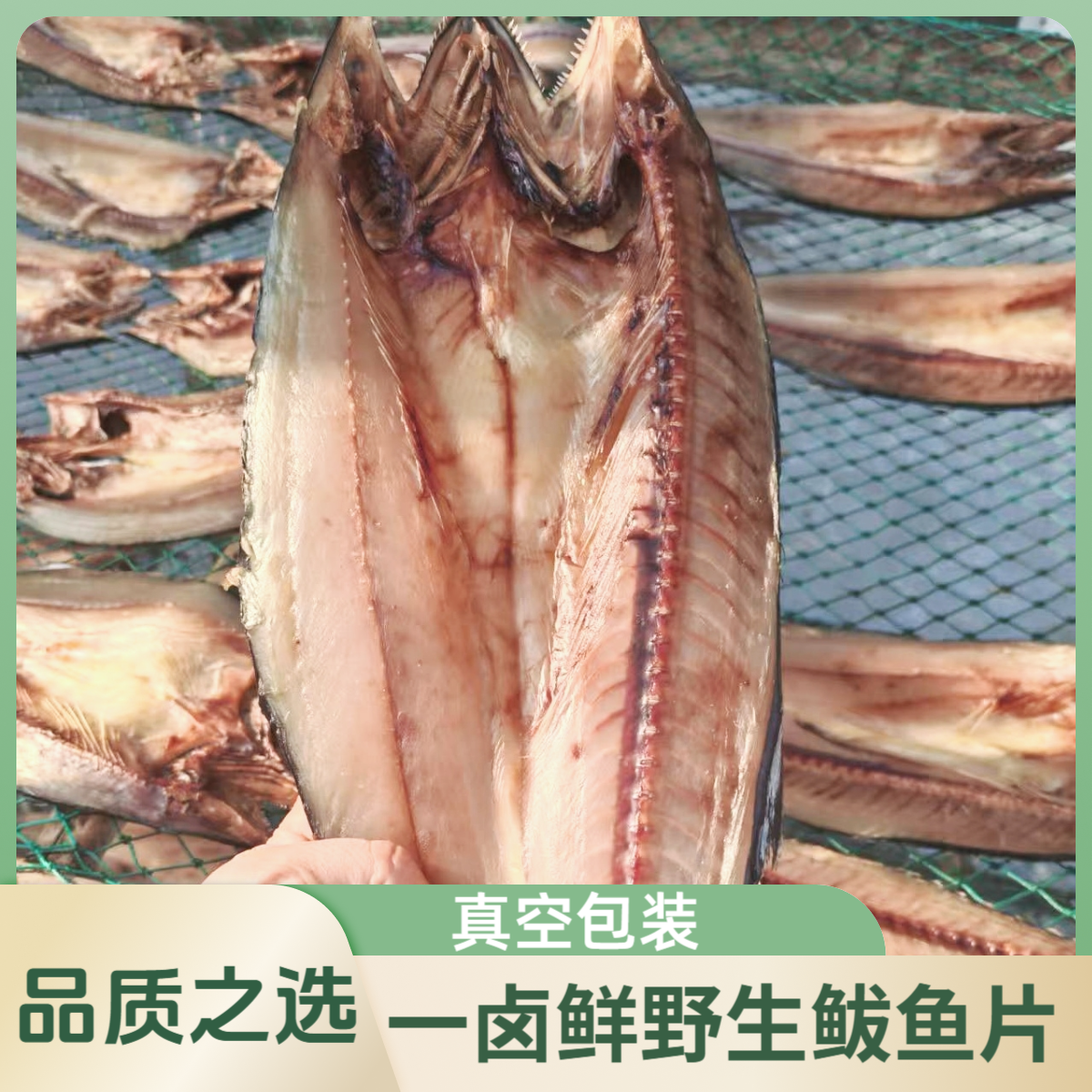 【一卤鲜】野生海捕(淡干鲅鱼片)天然晾晒无添加真空包装 