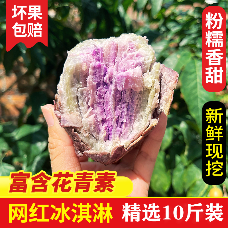 【现挖现发】广东茂名冰淇淋番薯沙地农家自种一点红粗粮地瓜10斤装