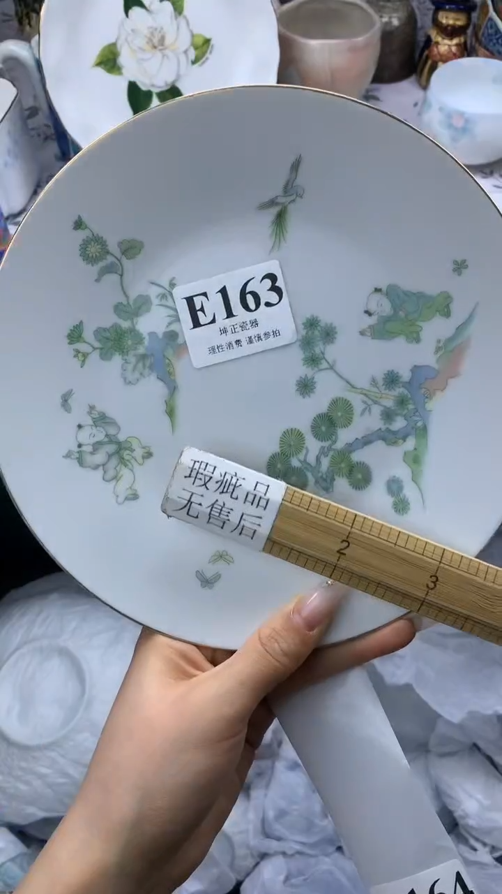 瓷片          E163