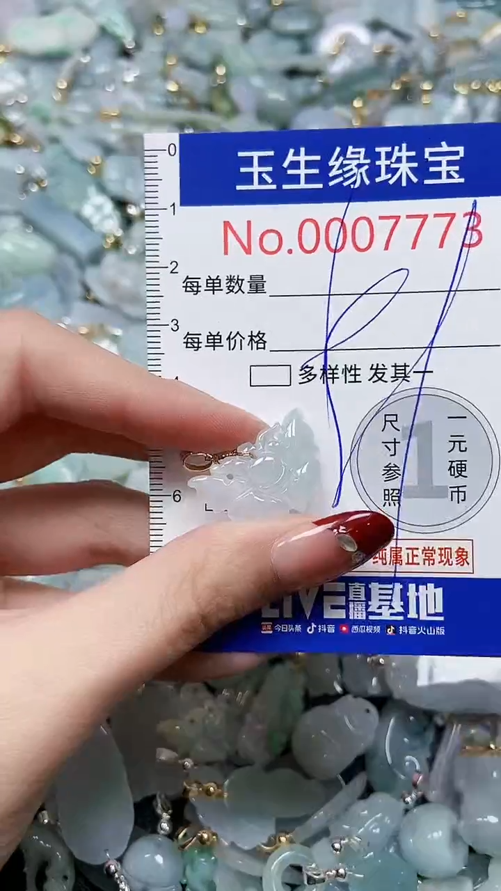 【闪购商品】翡翠颈饰未镶嵌闪购00007773