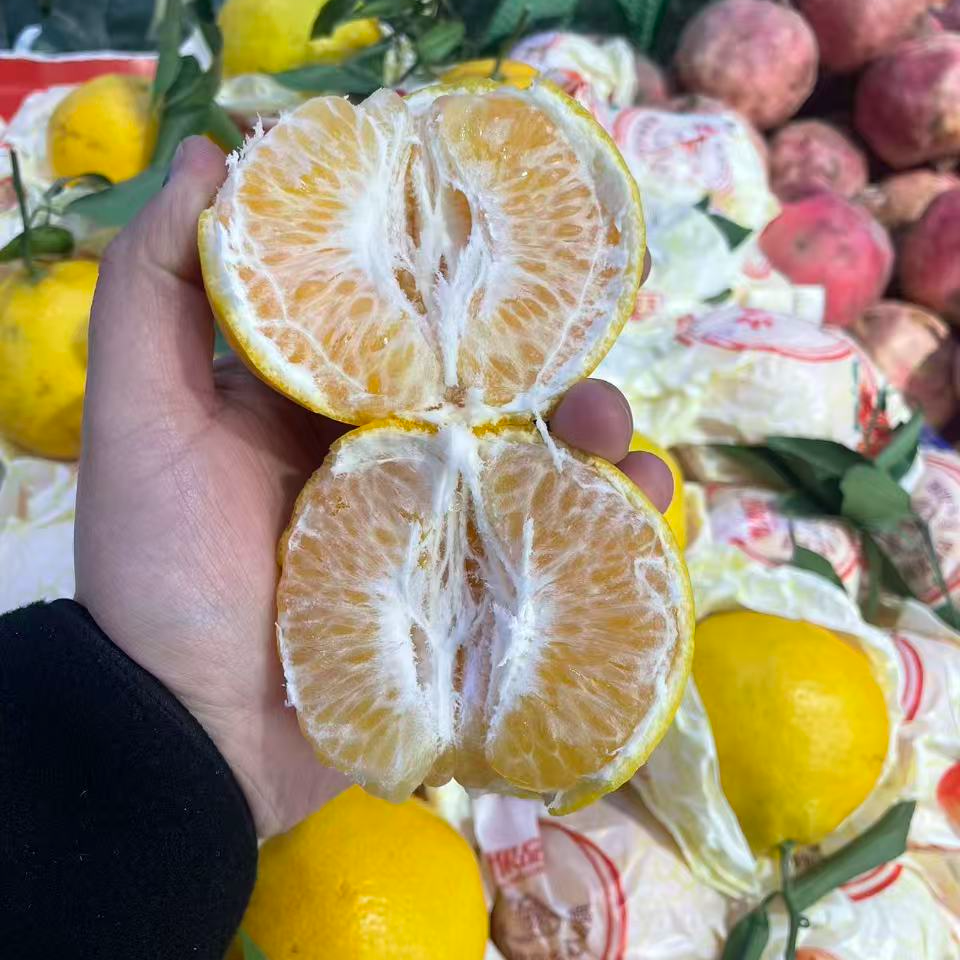  春见耙耙柑四川（公斤）优质农产品四川省