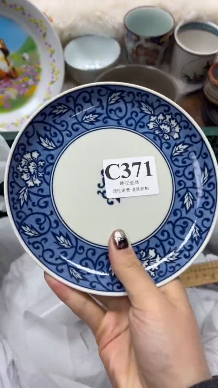 【闪购商品】瓷片          C371