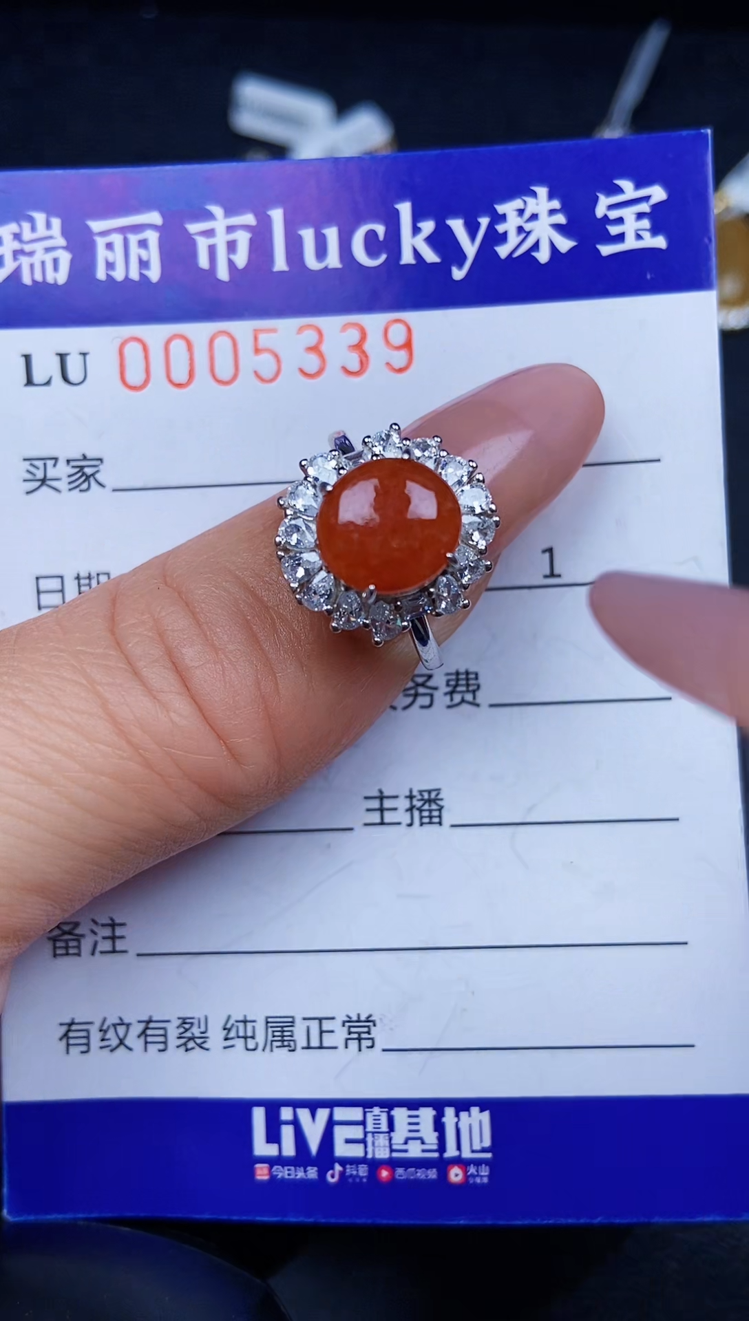 翡翠银S925镶嵌颈饰5339