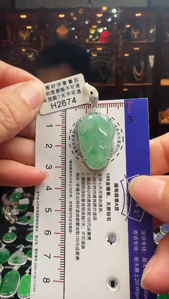 【闪购商品】翡翠颈饰18K金镶嵌H2674冰飘绿叶子
