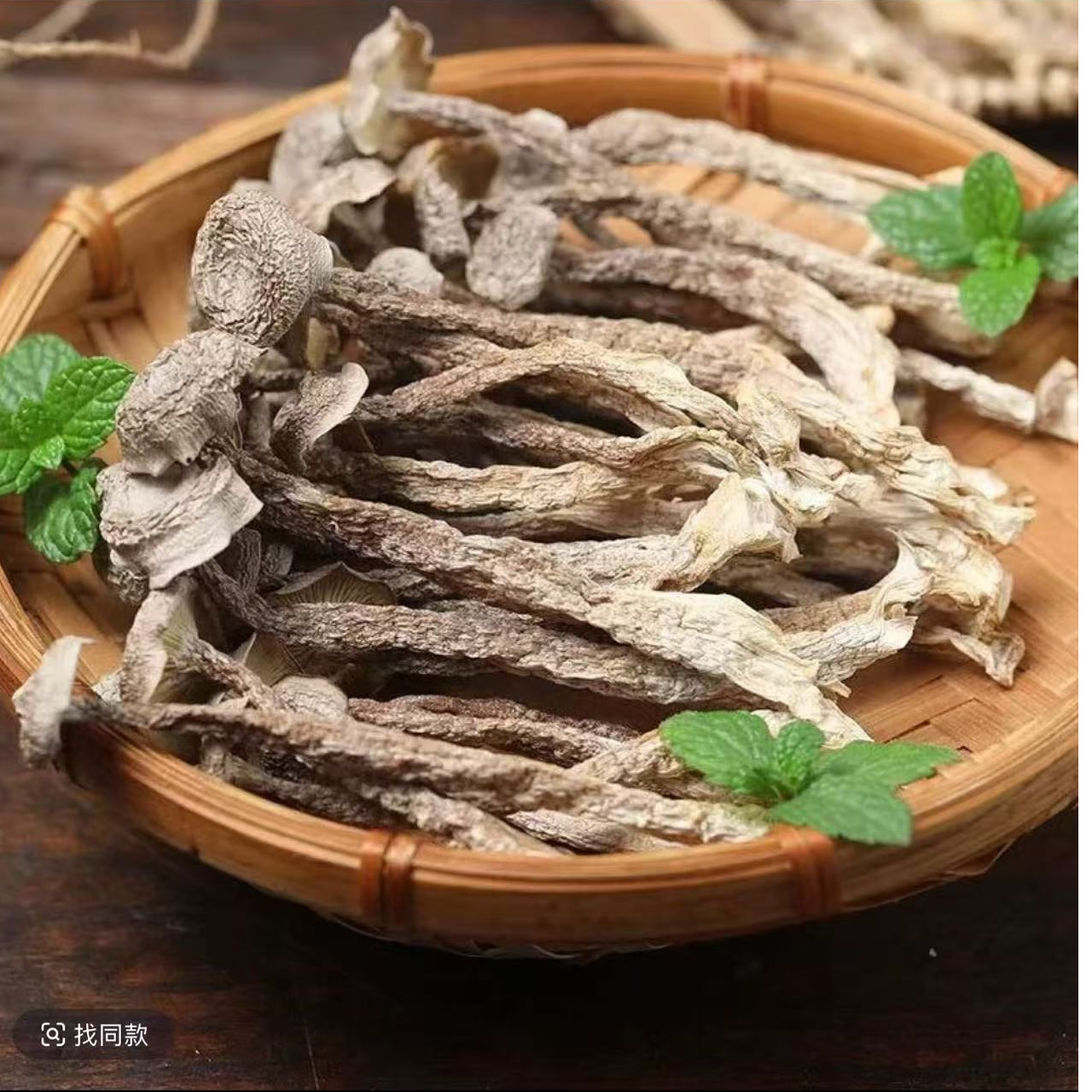 2025年鹿茸菇精品新鲜干货