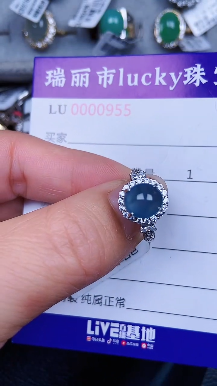颈饰银S925镶嵌翡翠0955