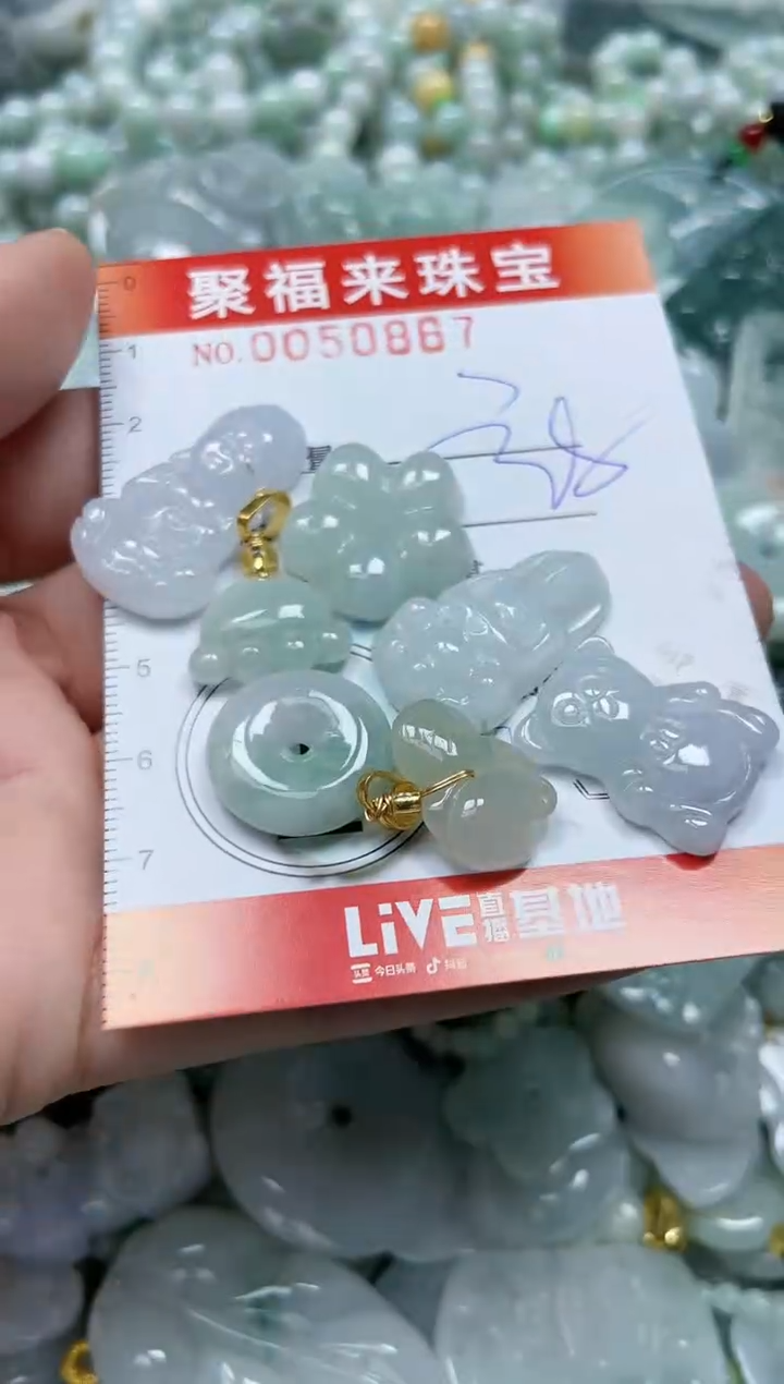 【闪购商品】翡翠颈饰未镶嵌闪购0050867