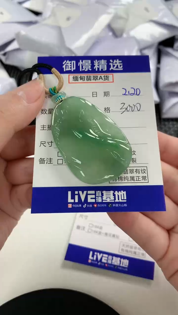 【闪购商品】翡翠颈饰未镶嵌37         